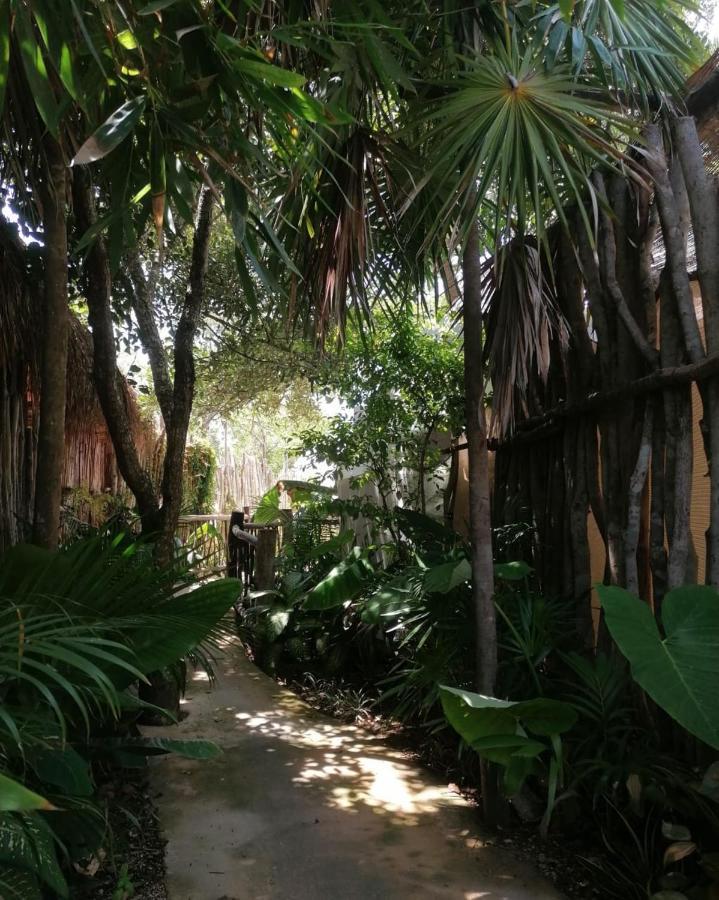 Cozy Room Near The Beach, Party Zone Tulum Exteriér fotografie